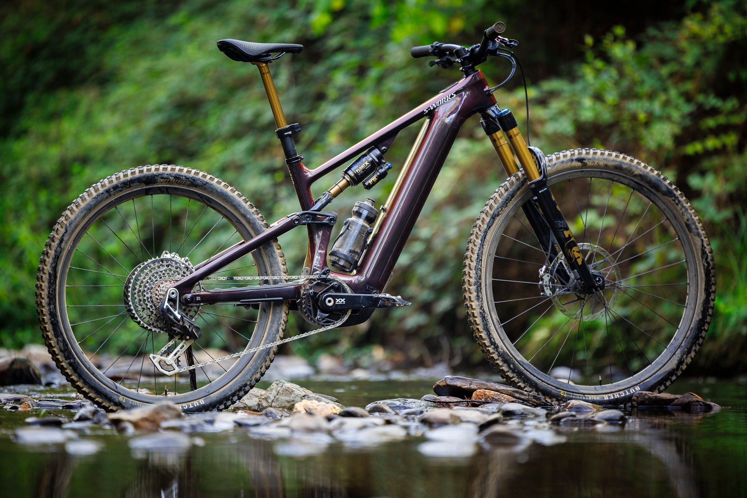 Specialized