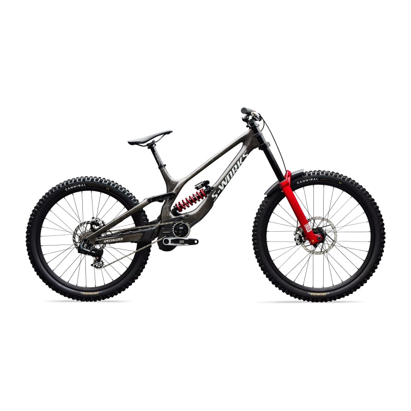 Specialized S-works Demo 11