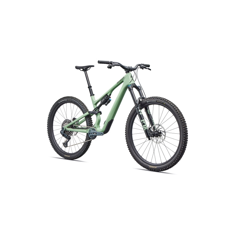 Specialized Stumpjumper 15 Evo Expert