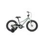 Specialized Riprock Coaster 16 Inch