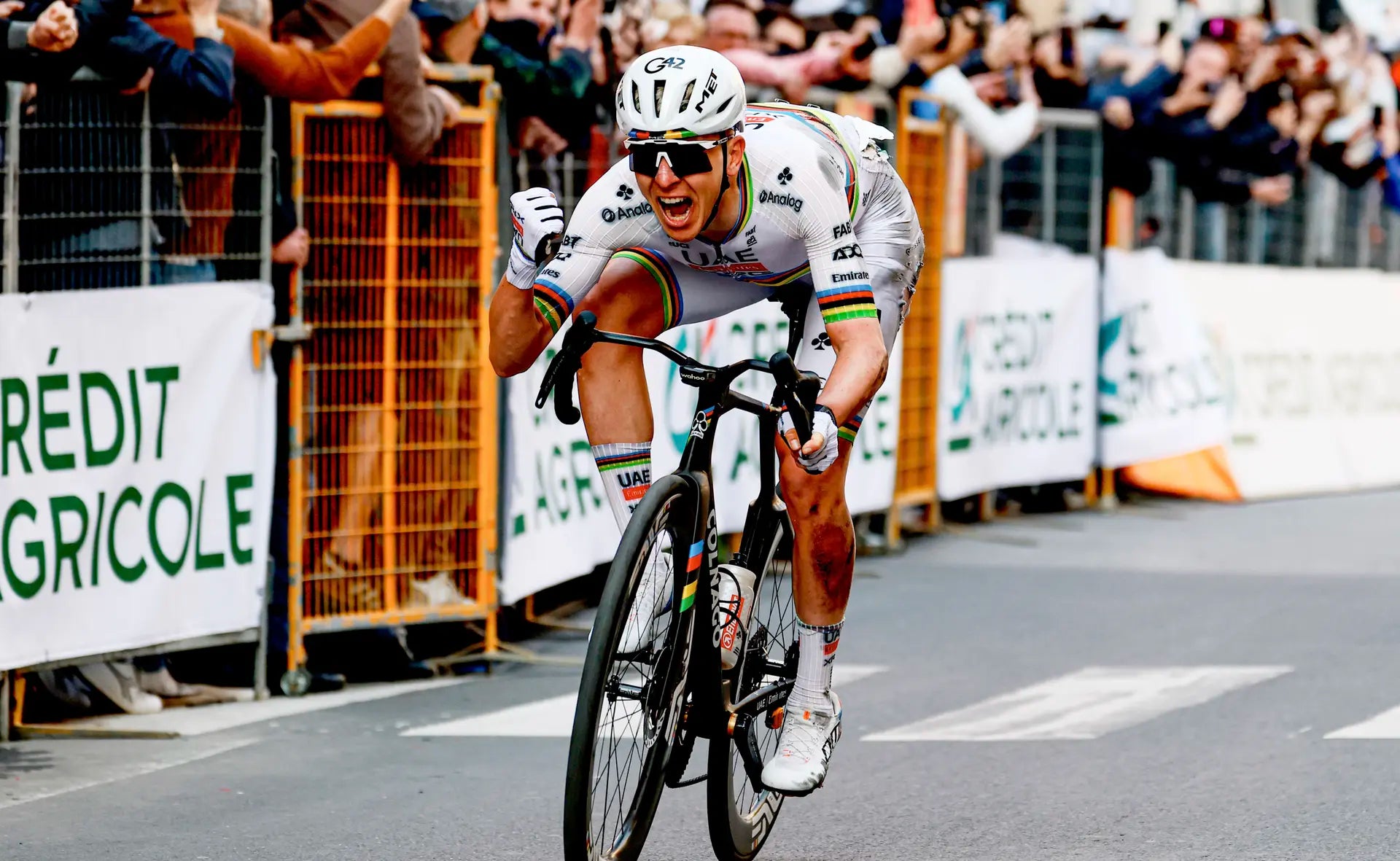 Colnago performance road bike